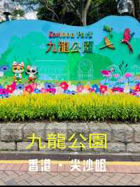 香港観光🇭🇰都会のオアシス🌿 九龍公園🦩✨