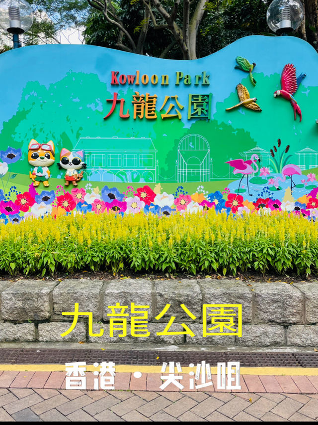 香港観光🇭🇰都会のオアシス🌿 九龍公園🦩✨
