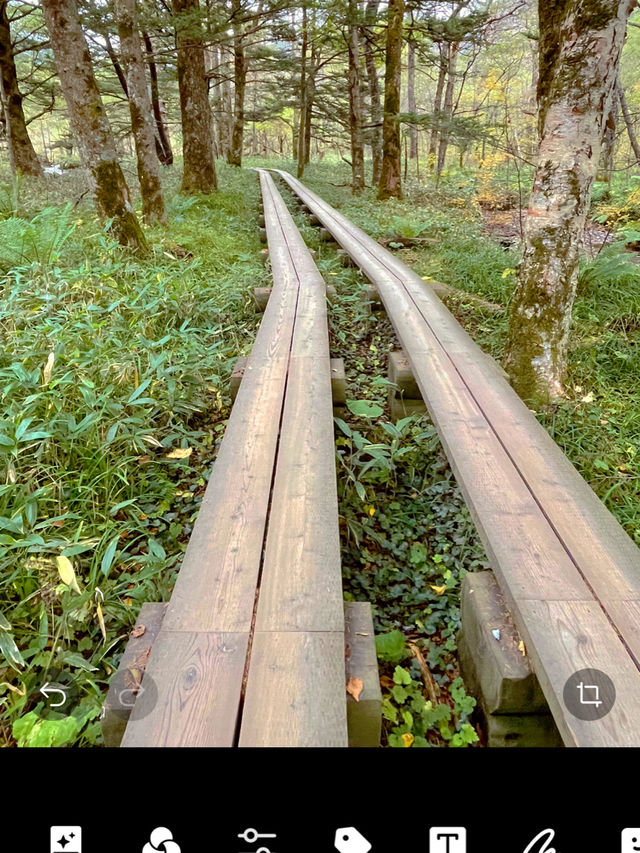 長野観光☺️自然豊かな上高地へ🏔️🌿✨