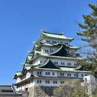 名古屋鰻魚太好吃了！