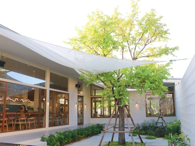 แวะทานกาแฟที่ Amber Rayong 