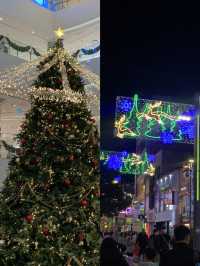 크리스마스 트리를 볼 수 있는 부산 여행지!🎄