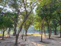 รีวิว อุทยานเบญจสิริ (ย่านพร้อมพงษ์) 🌳
