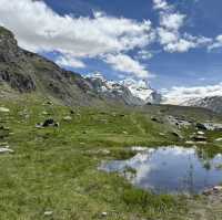 슈텔리제 호수 Stellisee