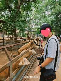 หมู่บ้านช้างพัทยา กิจกรรมแน่น ถูกใจทุกวัยแน่นอน🐘