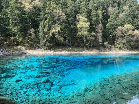 一生必去一次的地方——九寨溝