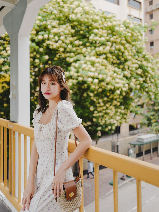 香港🇭🇰街頭特色樹頭菜🌼
