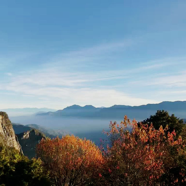 日落🌄日出🌅一千次，多少感情故事？