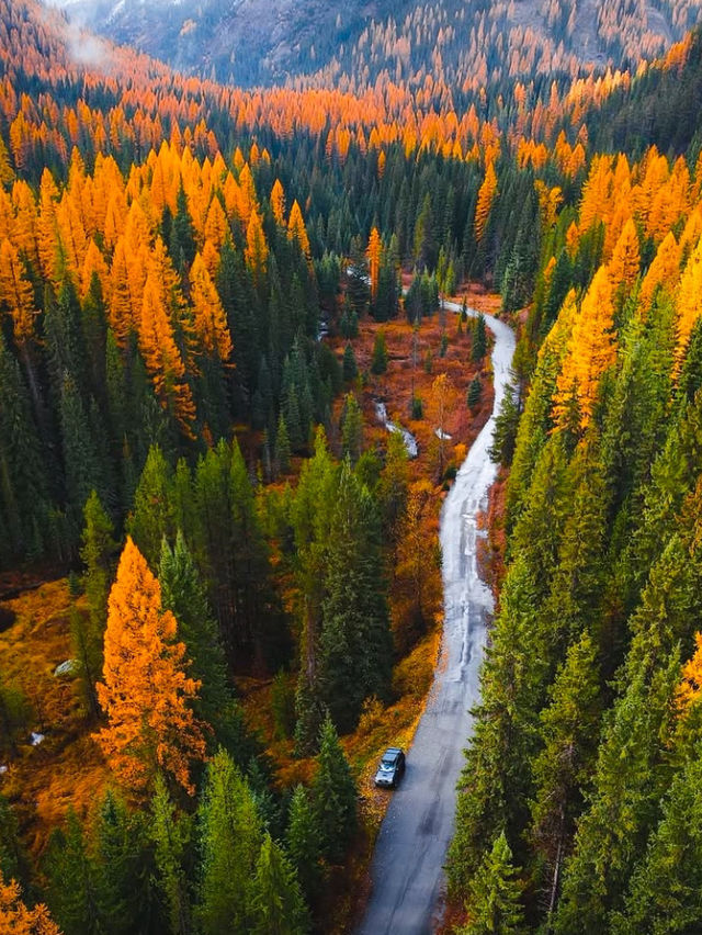 A Road Trip Through Montana: Big Sky Adventure