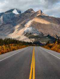 Fall in Love with the Drive to Jasper 