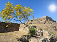 Exploring the Timeless Beauty of Monte Albán