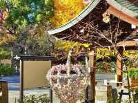 名古屋總鎮守 - 若宮八幡社