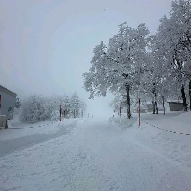 Zao Onsen