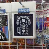 【山形県】日本屈指の温泉街である銀山温泉