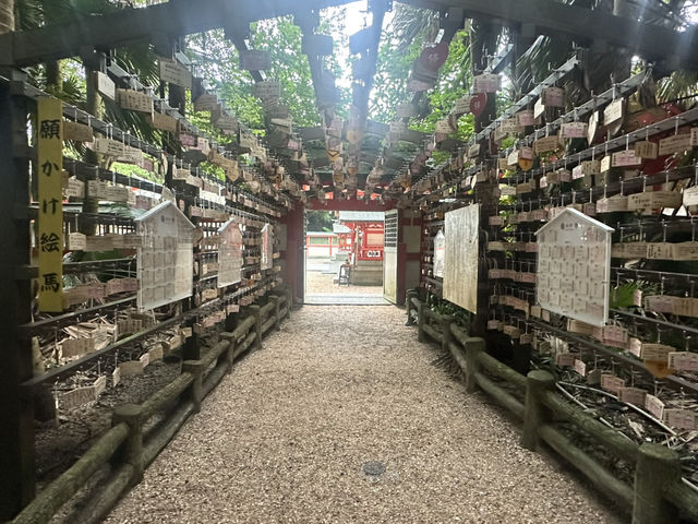 青島的自然生態岩石「鬼之洗衣板」及青島神社⛩️