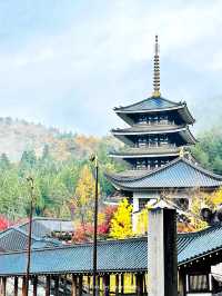 五重塔からの景色がとっても最高！日本一の五重塔【福井】