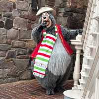 Magical Moments: Top Christmas Character Meet-and-Greets at Disney Orlando 🇺🇸