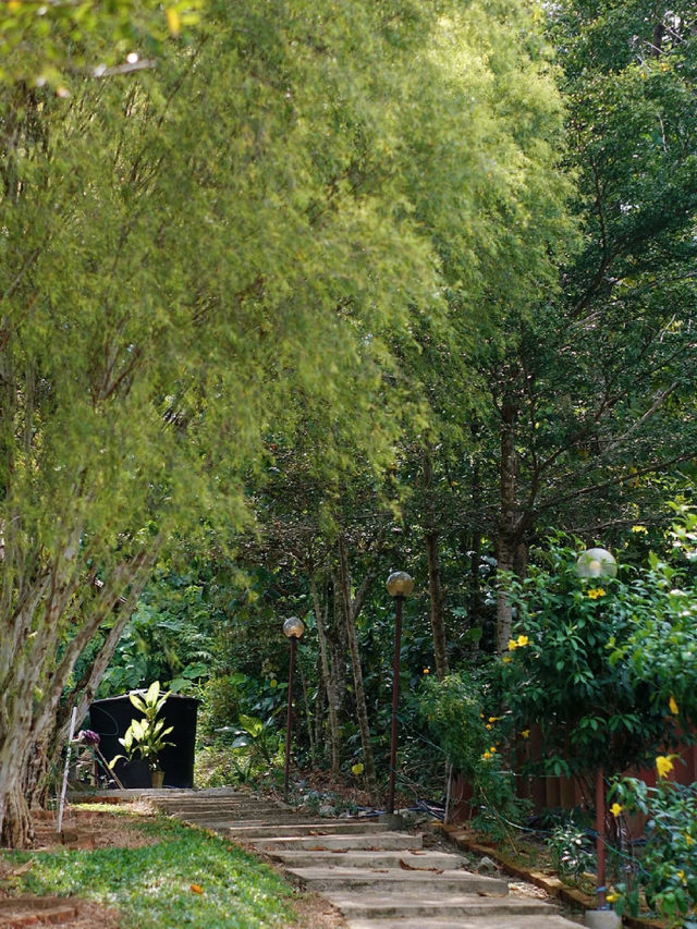 晋德殿 (Jin De Dian), Ipoh: A Hidden Gem of Tranquility and Culture 晋德殿 (Jin De Dian), Ipoh: A Hidden Gem of Tranquility and Culture