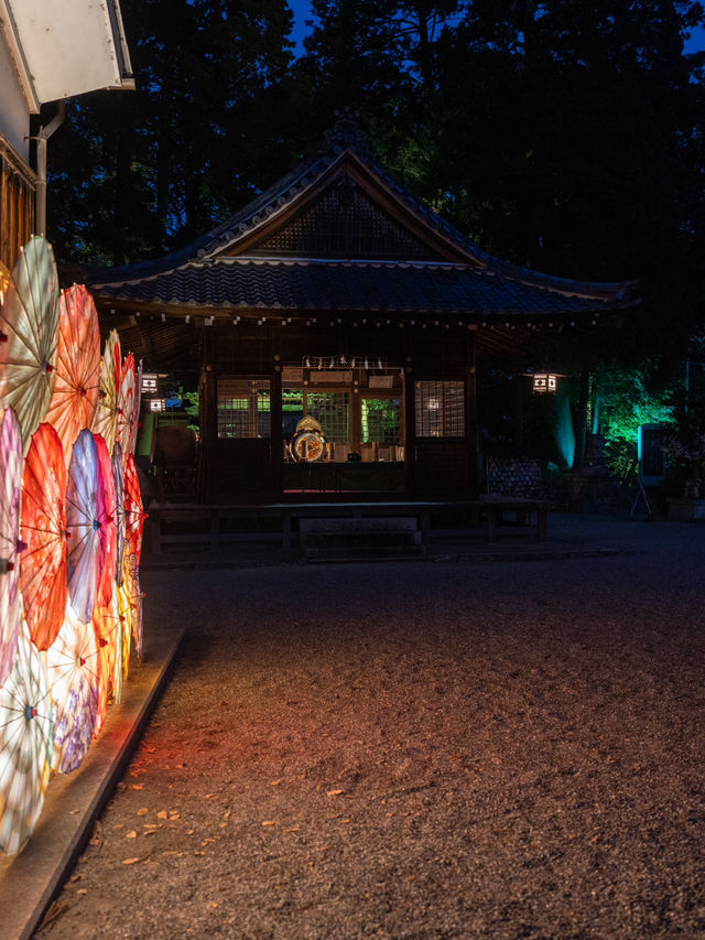 志を立て祈る神社 花手水もライトアップする滋賀県唯一の神社 12/14~1/12迄。⛩