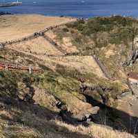 성산일출봉 가보시는것을 추천드려요 
