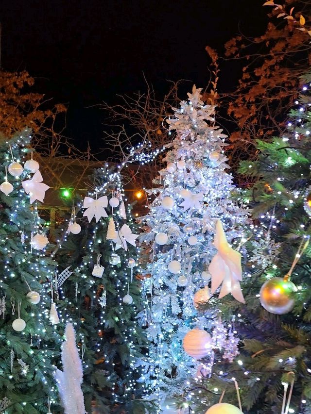 크리스마스에 진심인 여주 트리카페🎄