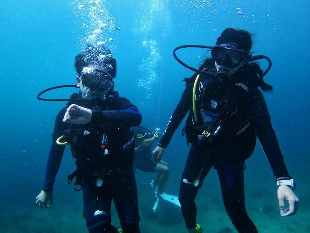 ดำน้ำ Scuba กับเรือ M.V. Mandarin Queen 