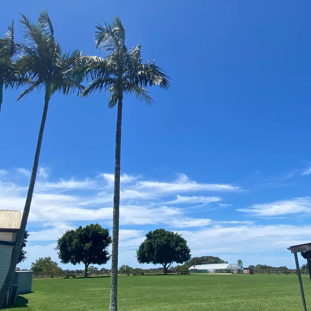 ～馬穆迪島～碧海藍天與白色燈塔的夢幻～