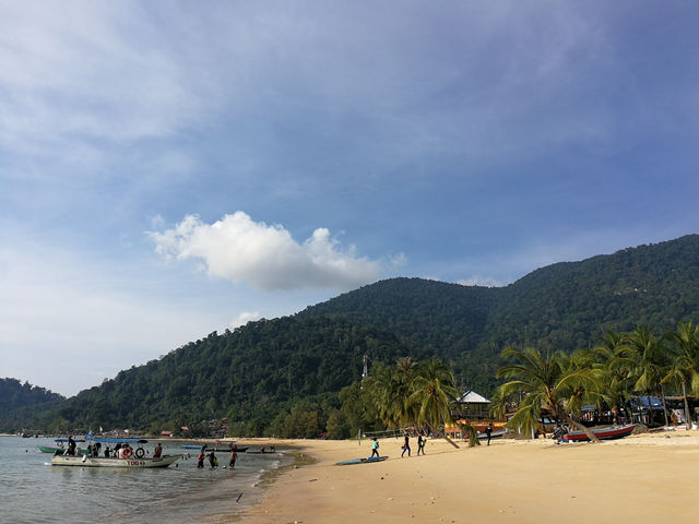 Malaysia’s Best Kept Secret for Diving in 2025 - Tioman
