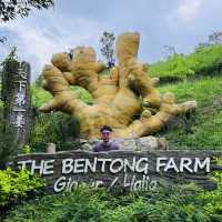 Bentong Farm Natural Gems 
