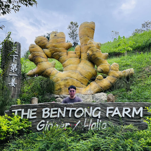 Bentong Farm Natural Gems 