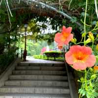 Cheongnamdae Presidential Villa 