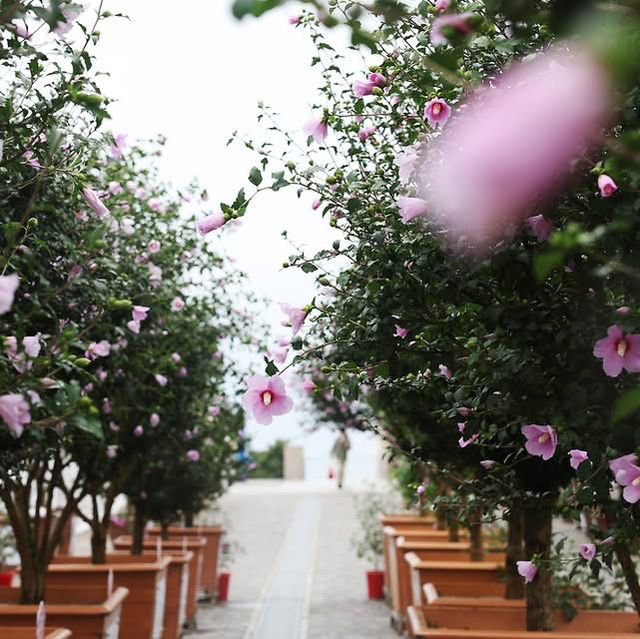 Daecheon Beach (Boryeong)