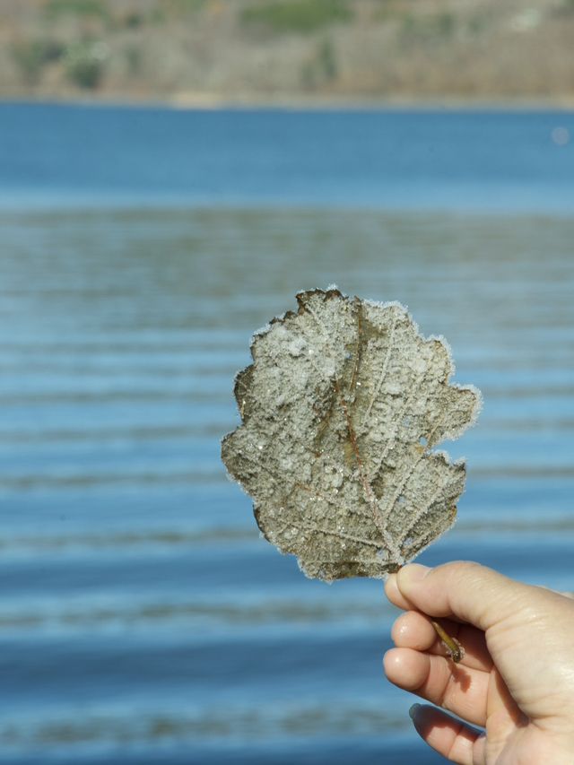 《山中湖》秋から冬の美しい景色に魅せられて