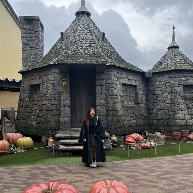 Asia’s largest Harry Potter Exhibition!!!