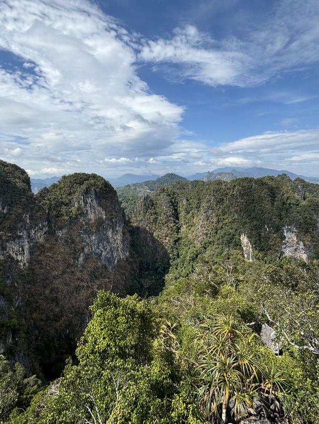 No chill to hike up to this top!!🔝 🐯🐅