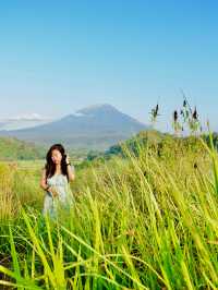 Another Hidden Gem In Bali; Bukit Cinta 🌄🫶🏻