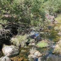 Cevennes National Park