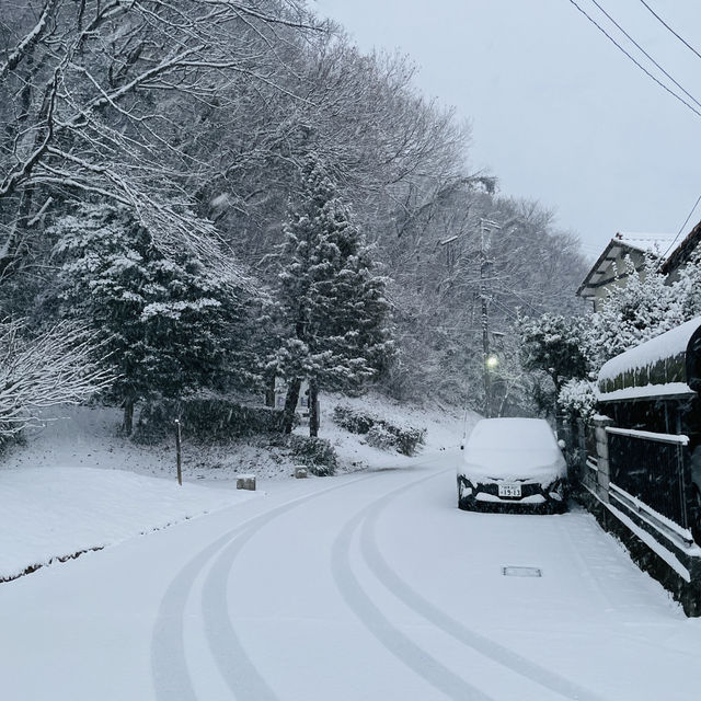 หนาวมากขอบอกอยากให้ทุกคนมาเที่ยวเยอะๆนะคะ❄️☃️⛄️