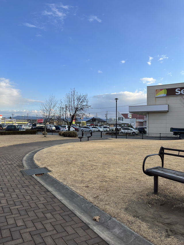 【佐久市🇯🇵】買い物の休憩にほっと一息できる公園⛲️