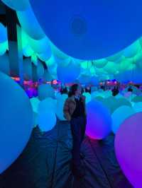 Teamlab Forest Fukuoka 🌳