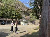 Lake Saiko 