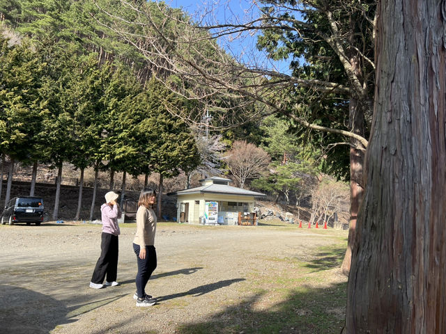 Lake Saiko 