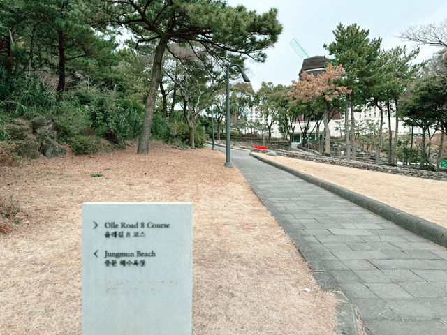 👍 이 좋은 곳을 안 가려고요?