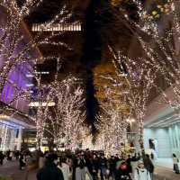 A Magical Holiday Experience: Christmas Illuminations in Tokyo