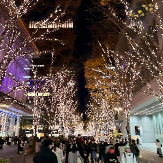 A Magical Holiday Experience: Christmas Illuminations in Tokyo