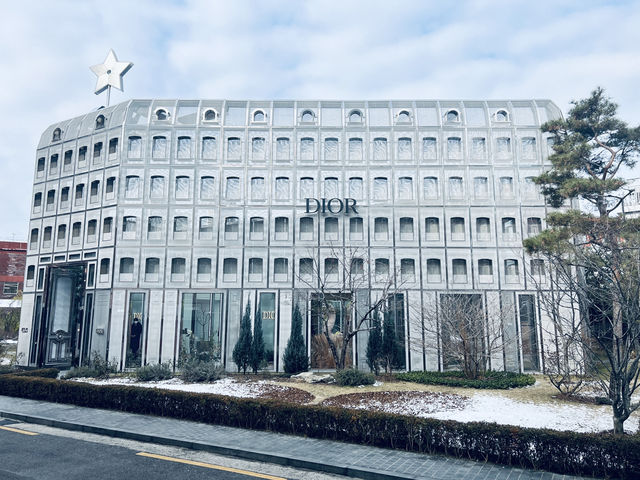 寒冬中的首爾探索：歷史、時尚與令人難忘的美食之旅