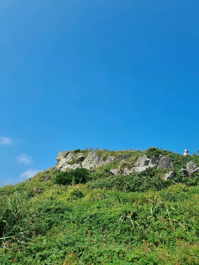 제주도 속의 섬 차귀도여행🏞