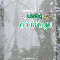 พระธาตุดอยช้างมูบ เชียงราย 🐘🏔