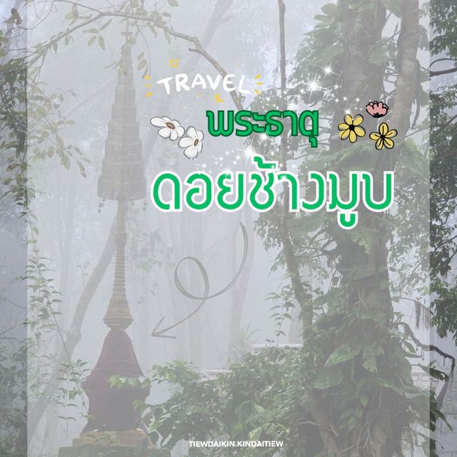พระธาตุดอยช้างมูบ เชียงราย 🐘🏔