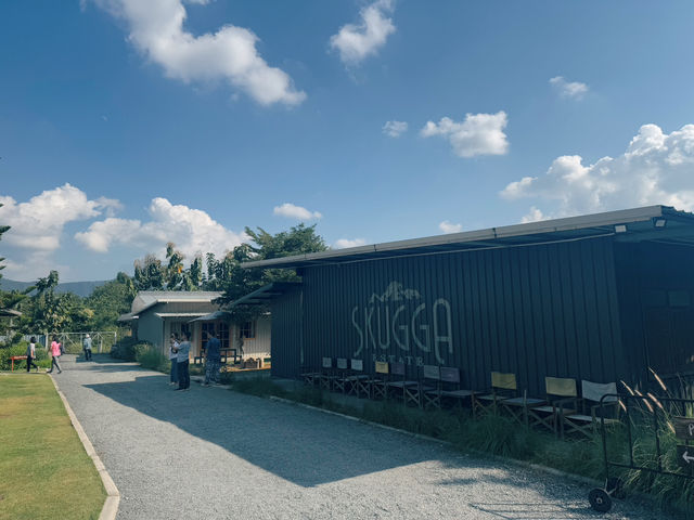 Skugga | เชียงใหม่